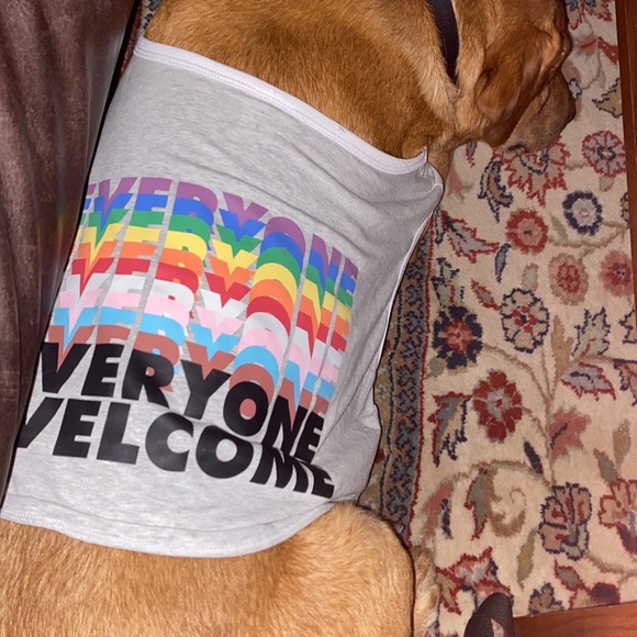 Pride Pet Costume-NWT-Size Large Tee & Tutu Dogs/Cats-LGBTQ+ - Picture 4 of 7